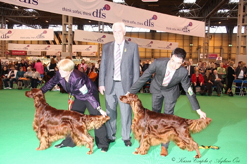 Crufts2011_2 185.jpg